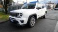 usato JEEP Renegade