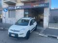 usato FIAT Panda