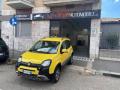 usato FIAT Panda Cross