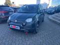 usato FIAT Panda Cross