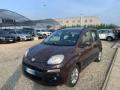 usato FIAT Panda