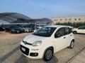 usato FIAT Panda