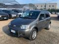 usato FIAT Panda