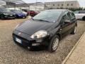 usato FIAT Punto