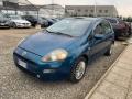 usato FIAT Punto