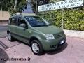 usato FIAT Panda