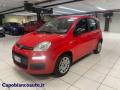 usato FIAT Panda