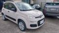 usato FIAT Panda