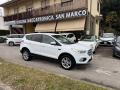 usato FORD Kuga