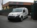 usato FIAT Fiorino