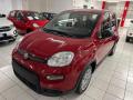 nuovo FIAT New Panda