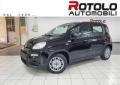 usato FIAT New Panda