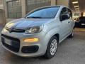 usato FIAT Panda