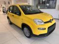 usato FIAT New Panda