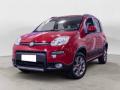 usato FIAT Panda