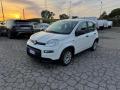 usato FIAT Panda