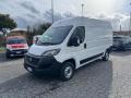 usato FIAT Ducato