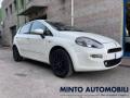 usato FIAT Punto