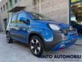 usato FIAT Panda Cross