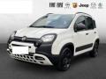 usato FIAT Panda