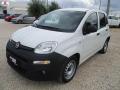 usato FIAT Panda