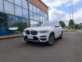 usato BMW X3