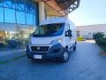 usato FIAT Ducato