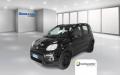 usato FIAT Panda