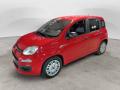 usato FIAT Panda