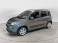 usato FIAT Panda