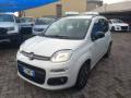 usato FIAT Panda