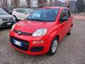 usato FIAT Panda