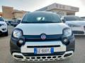 usato FIAT Panda Cross