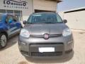 usato FIAT Panda