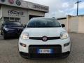 usato FIAT Panda