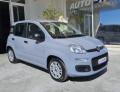 usato FIAT Panda