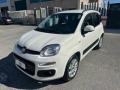 usato FIAT Panda