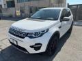 usato LAND ROVER Discovery Sport