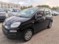 usato FIAT Panda