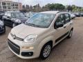 usato FIAT Panda