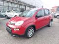 Km 0 FIAT Panda