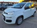 usato FIAT Panda