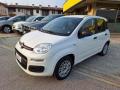 usato FIAT Panda