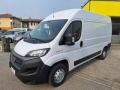 usato FIAT Ducato