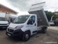 usato FIAT Ducato