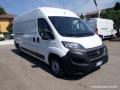 usato FIAT Ducato