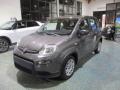 usato FIAT Panda