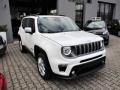 usato JEEP Renegade