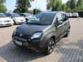 usato FIAT Panda