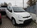 usato FIAT Panda